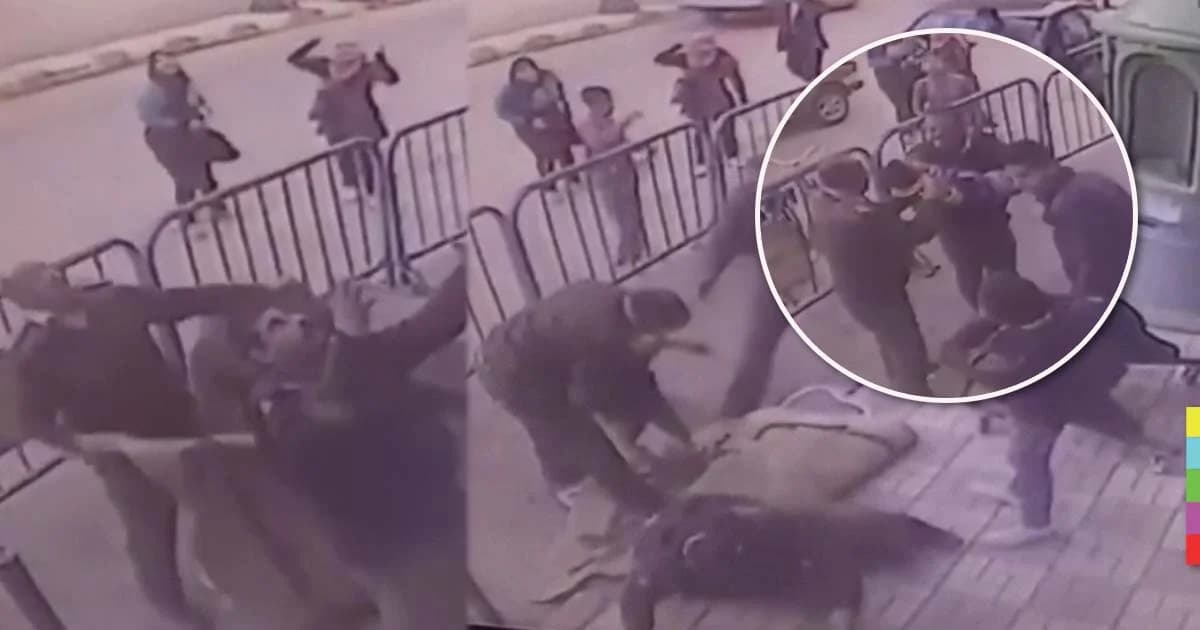 ชื่นชม 3 ฮีโร่ตำรวจอียิปต์ คว้าเด็กน้อย ที่พลัดตกจากตึกชั้น 3 รอดชีวิต