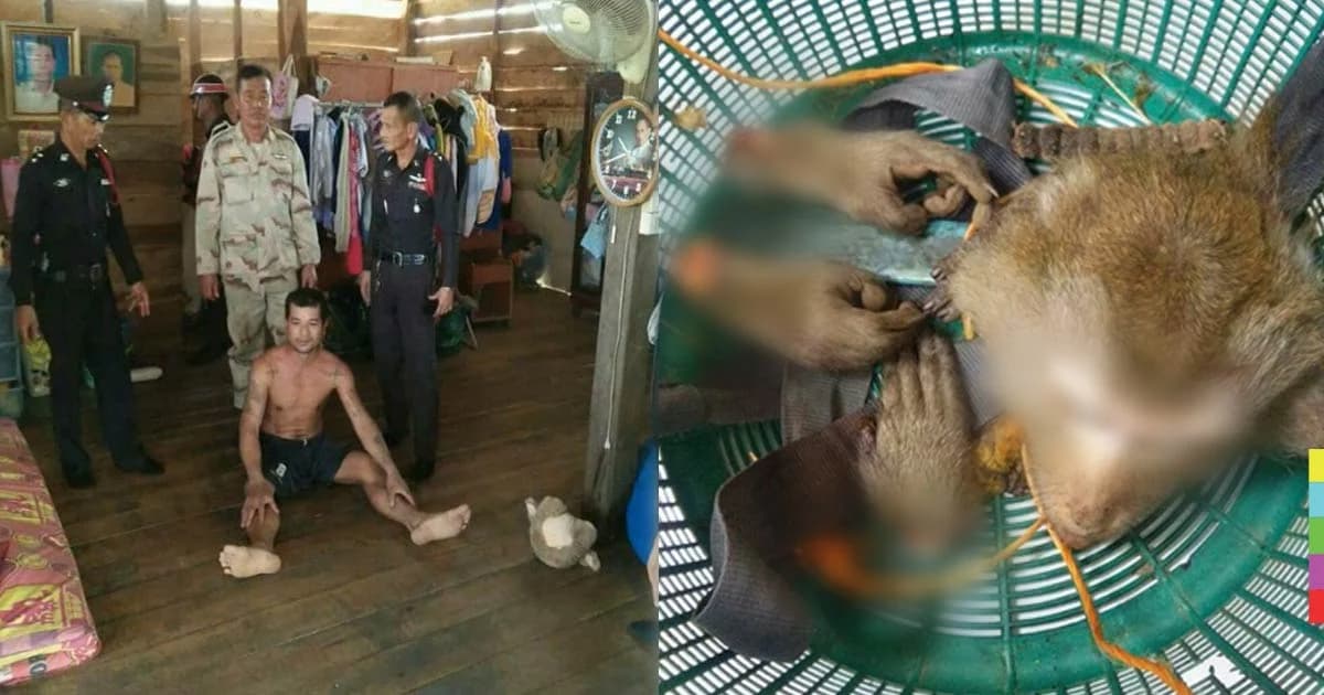 สังเวยอีก ! รวบพรานป่าฆ่า “ลิงแสม” ตัดคอชำแหละชิ้นส่วน