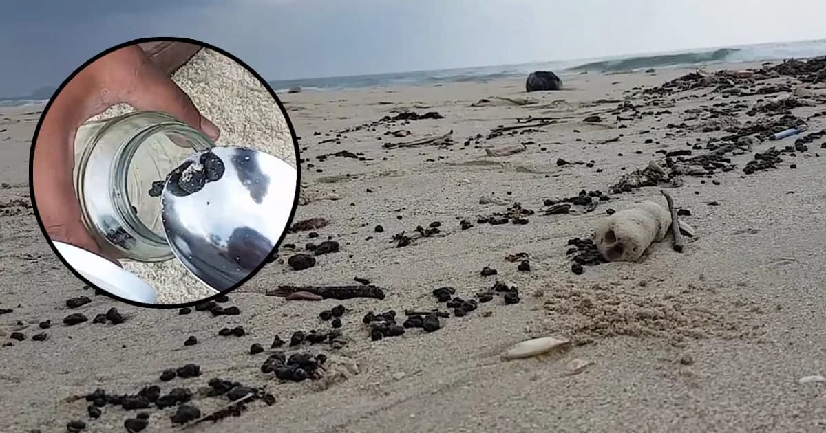 รุดเก็บตัวอย่าง “ก้อนน้ำมัน” หน้าหาดทุ่งซาง จ.ชุมพร ส่งตรวจ DNA