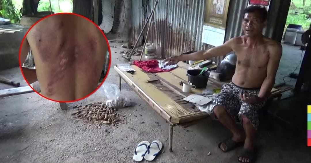 เกือบไม่รอด ! ช้างป่าบุกใช้งวงจับร่างหนุ่มฟาดพื้นบาดเจ็บ