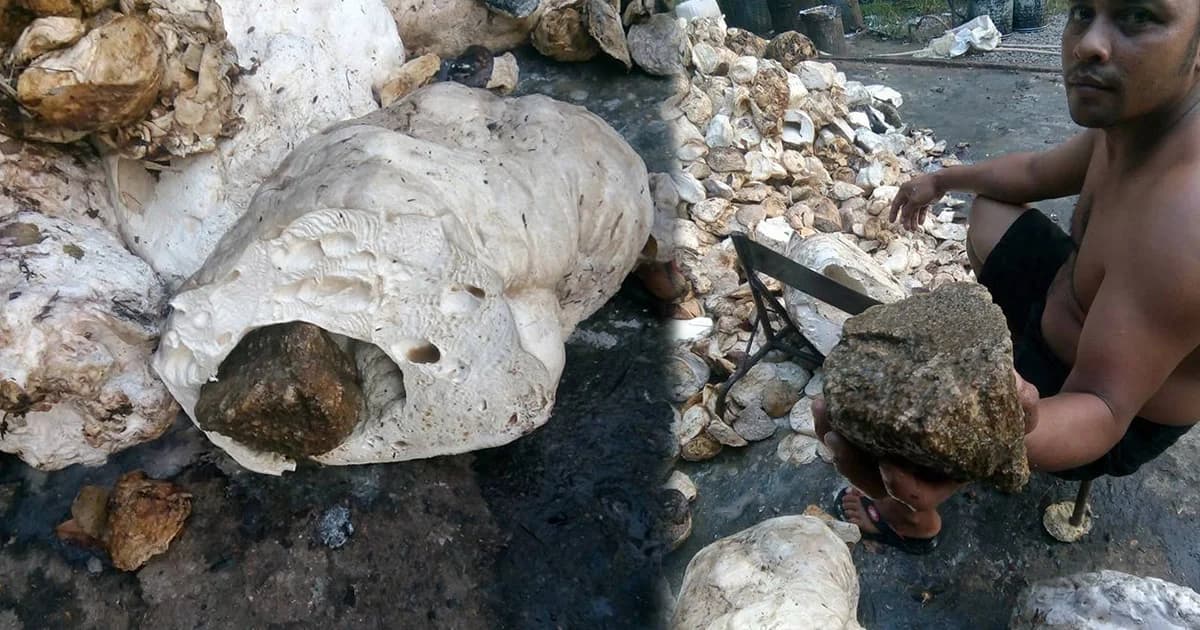 แม่ค้าโพสต์เตือน ! ชาวสวนหลอก ยัดก้อนหินในขี้ยางพารา