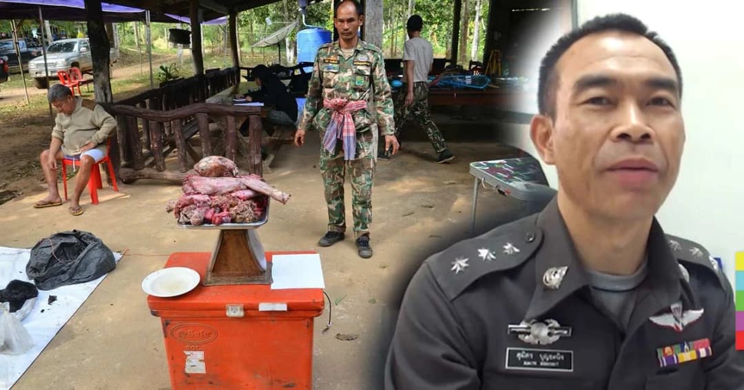 สังคมสับสน! ภาคทัณฑ์ ตร.รับแจ้งความ ‘เปรมชัย’ ทารุณสัตว์ทำ