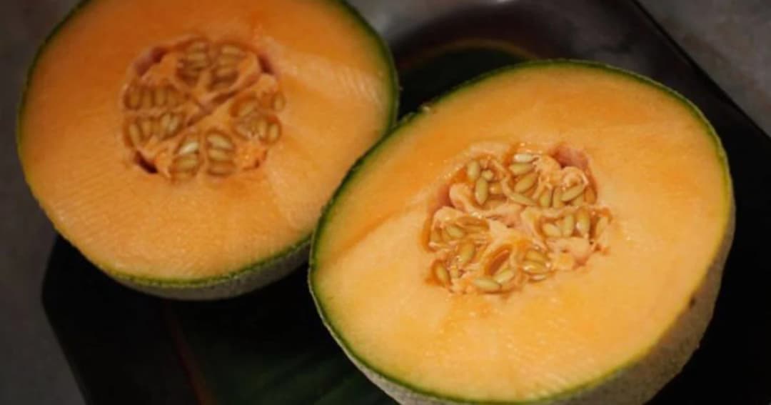 ‘ลิสเทอเรีย’ เชื้ออันตรายในแคนตาลูป ออสซี่ดับ 3 ราย