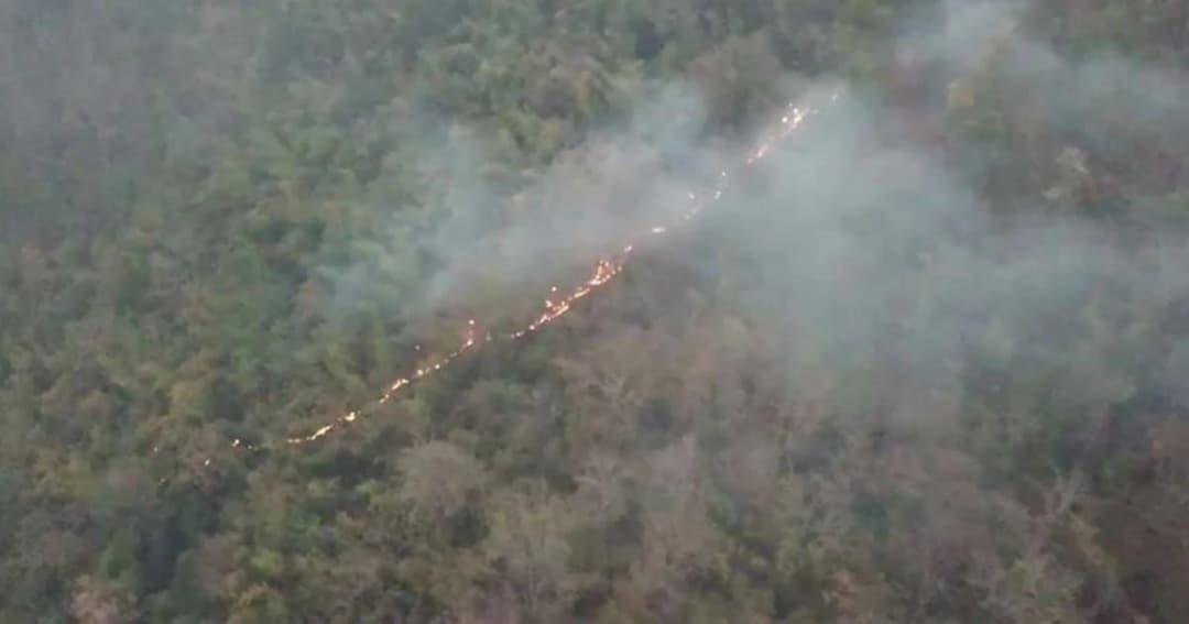 ไฟป่าทวีความรุนแรง เผาวอดพื้นที่ “ป่าแม่ทรายคำ” กว่า 100 ไร่