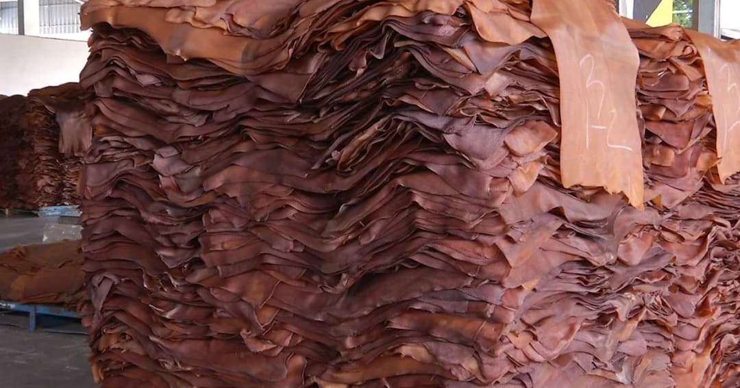 ยกระดับราคายางพารา ‘กยท.’ ทำ MOU ร่วม 5 โบรกเกอร์