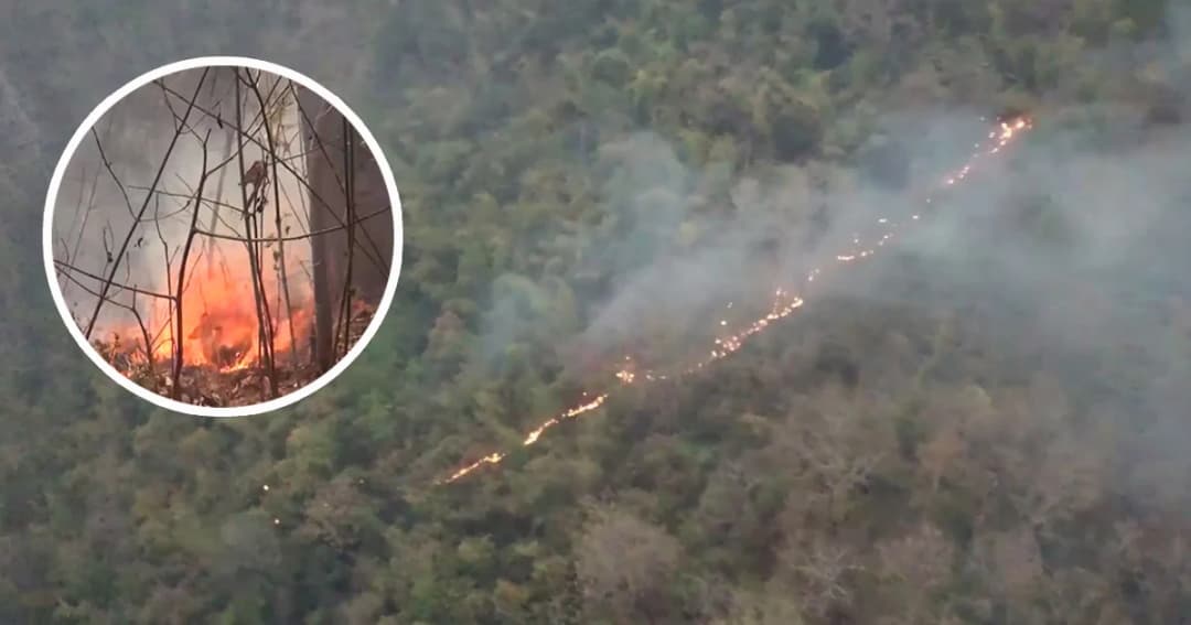 ไฟป่าทวีความรุนแรง เผาพื้นที่ “ป่าแม่ทรายคำ” วอดกว่า 100 ไร่