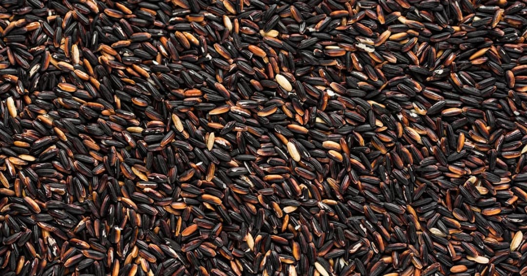 ชาวนาเร่งตุนข้าว หลังหอมมะลิราคาพุ่ง ตันละ 1.7 หมื่น