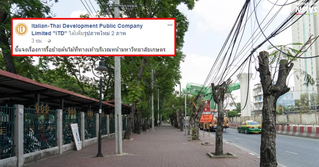 “อิตาเลียนไทย” เสียค่าปรับ 1.7 แสน ปมตัดต้นไม้หน้า ม.เกษตรฯ โร่แจงยิบเหตุที่ตัด