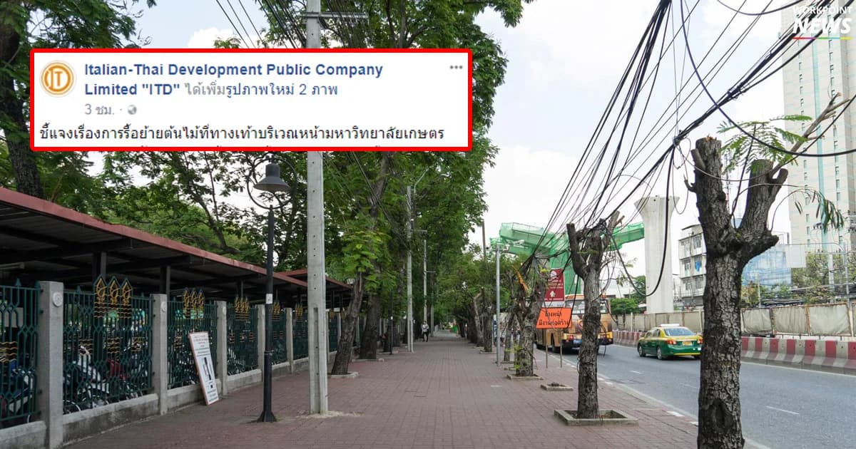 “อิตาเลียนไทย” เสียค่าปรับ 1.7 แสน ปมตัดต้นไม้หน้า ม.เกษตรฯ โร่แจงยิบเหตุที่ตัด