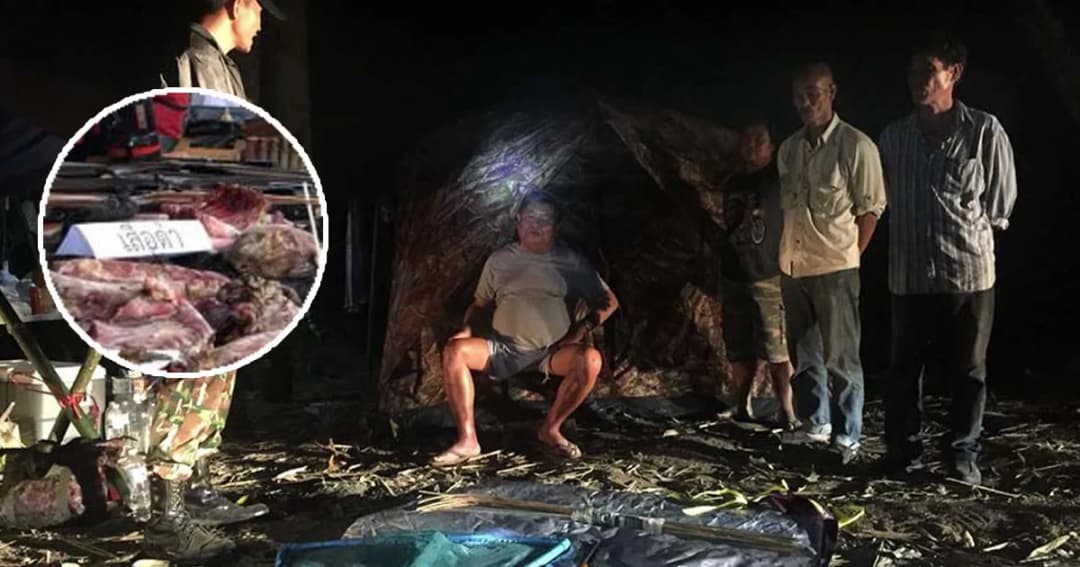 ผล DNA ยันชัด เนื้อสัตว์ในหม้อซุป “เปรมชัย” เป็น “เสือดำตัวเมีย”