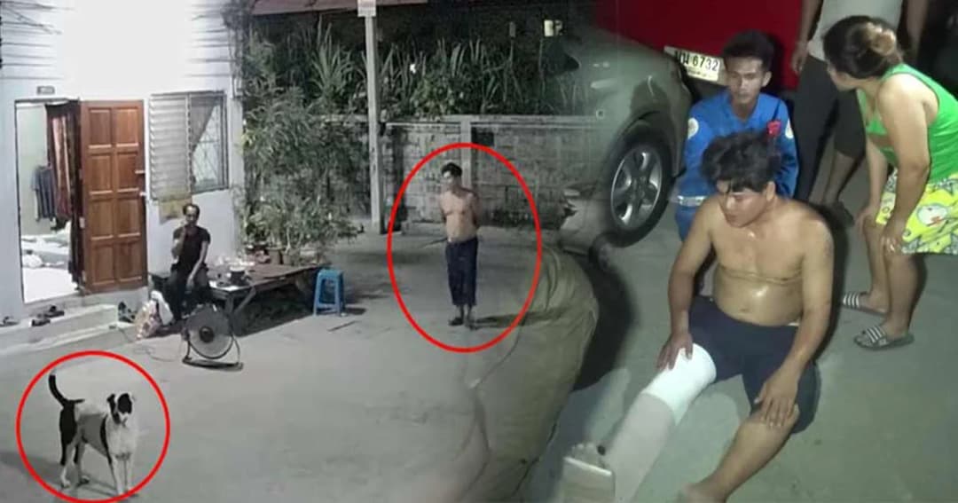 รำคาญสุนัขเห่าเสียงดัง ! หนุ่มใหญ่ถือขวานไล่ฟันเพื่อนบ้านเจ็บ 3 ราย