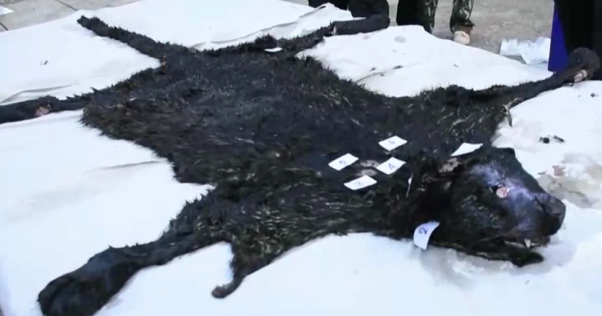 กรมอุทยานฯ มั่นใจไม่มีใครหลุดคดี “ร่วมฆ่าเสือดำ” ส่งผลตรวจซากให้ตร.วันนี้