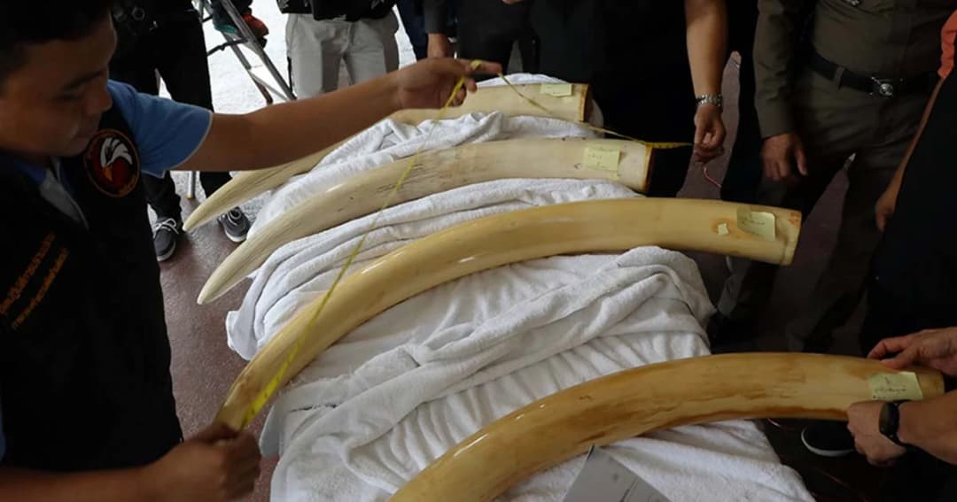 ตำรวจเตรียมแจ้งเพิ่มอีก 3 ข้อหา “เปรมชัย” บินบังคลาเทศ 10 มี.ค.นี้