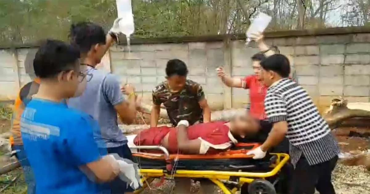 หนุ่มปีนตัดกิ่งไม้ใหญ่พลาดหล่นทับ เลื่อยยนต์ร่วงตัดขาขาดสยอง