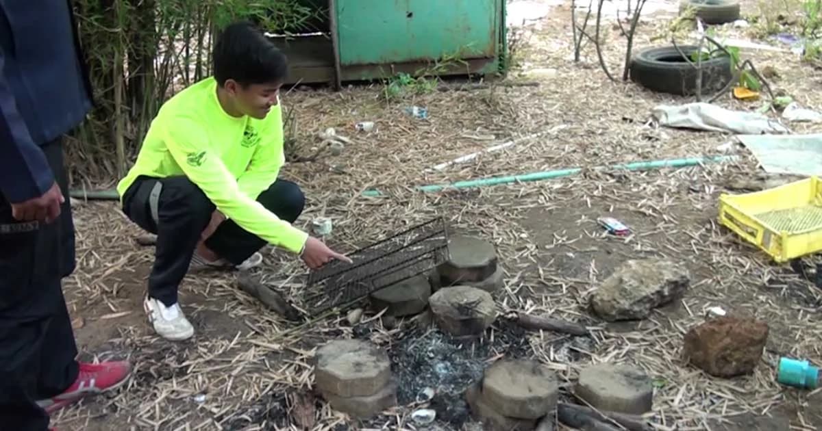 แรงงานกัมพูชาจับคางคกมาย่างกิน ก่อนปวดท้องอาเจียน เสียชีวิตในที่สุด