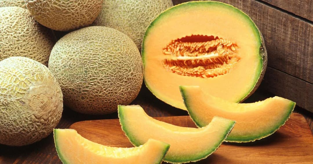 ราคาร่วง ! ‘แคนตาลูป’ พะเยา ถูกพายุซัดเสียหาย