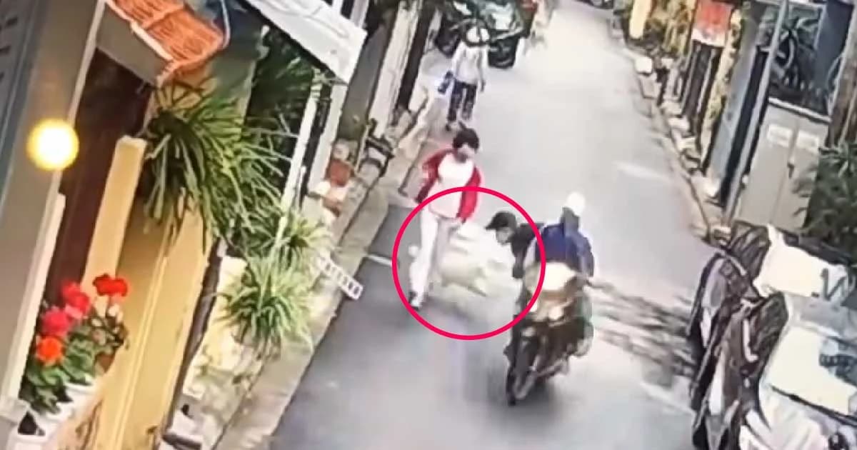 อุกอาจ! แก๊งขโมยหมา ดึงหมาจากมือเจ้าของกลางถนน