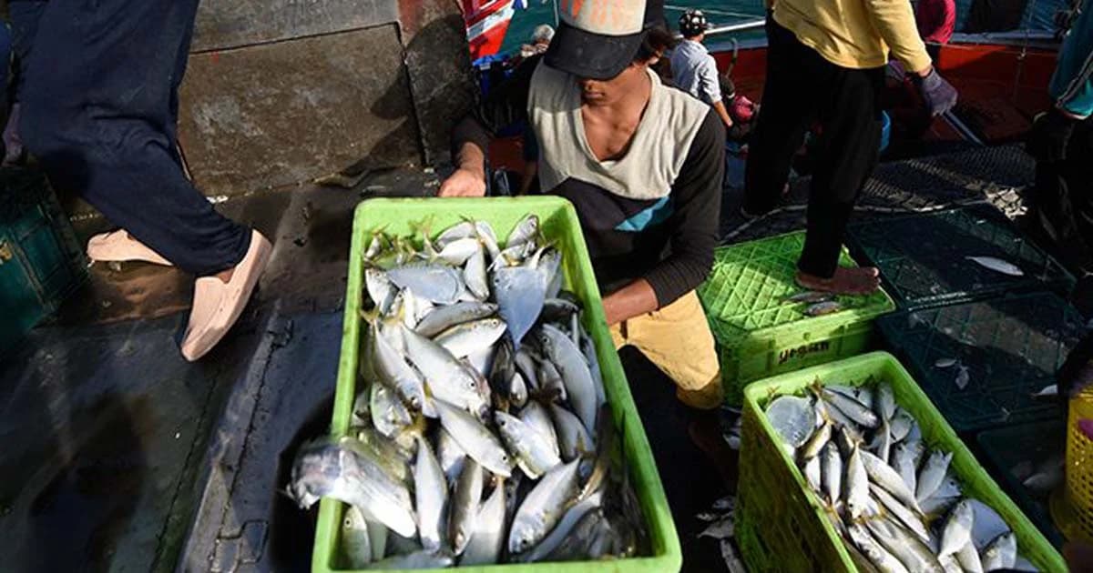 “ทูตวีระชัย” แจงแก้ปัญหาประมงไอยูยูได้ผล ‘วอลล์มาร์ท’ ยอมรับบทบาทไทย