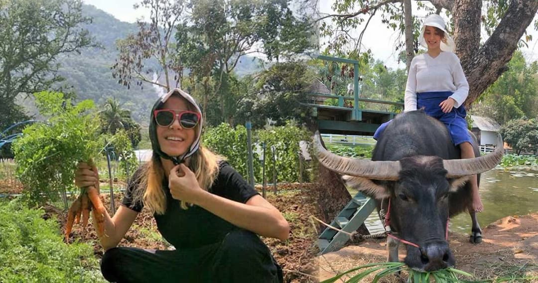 “ปาล์มมี่” โพสต์ภาพขี่ควาย เก็บผัก ใช้ชีวิตบ้านๆ สไตล์สาวเซอร์สายติสท์