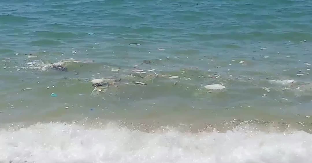 ขยะยังลอยเต็มชายหาดแหลมเสด็จ จันทบุรี เป็นรอบที่ 2