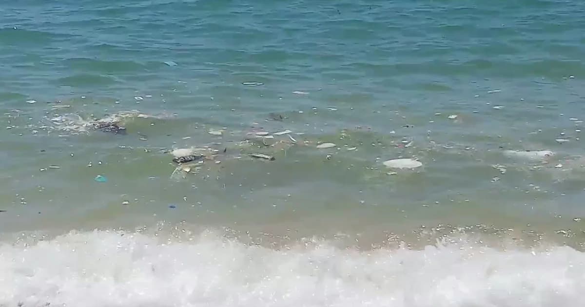 ขยะยังลอยเต็มชายหาดแหลมเสด็จ จันทบุรี เป็นรอบที่ 2