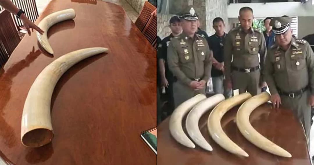 เตรียมออกหมายเรียก “ภรรยาเปรมชัย” รอบ 2 หลังเบี้ยวนัด