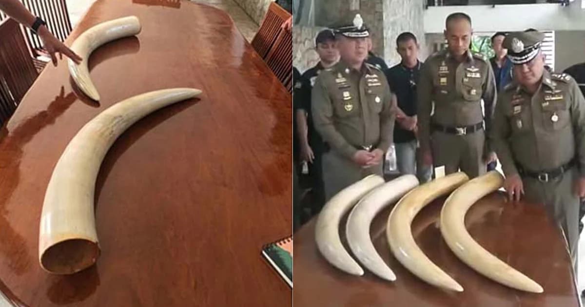 เตรียมออกหมายเรียก “ภรรยาเปรมชัย” รอบ 2 หลังเบี้ยวนัด