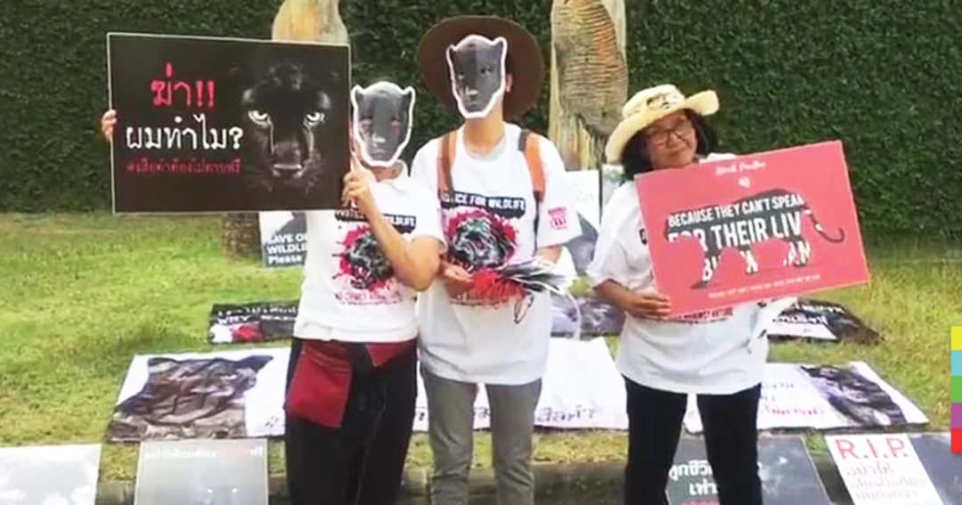 หน้ากากเสือดำลุกฮือ ! ชาวเชียงใหม่ทวงคืนความยุติธรรม