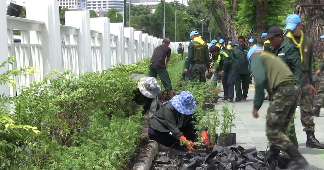 เตรียมส่งคืนพื้นที่สนามหลวง เม.ย. นี้