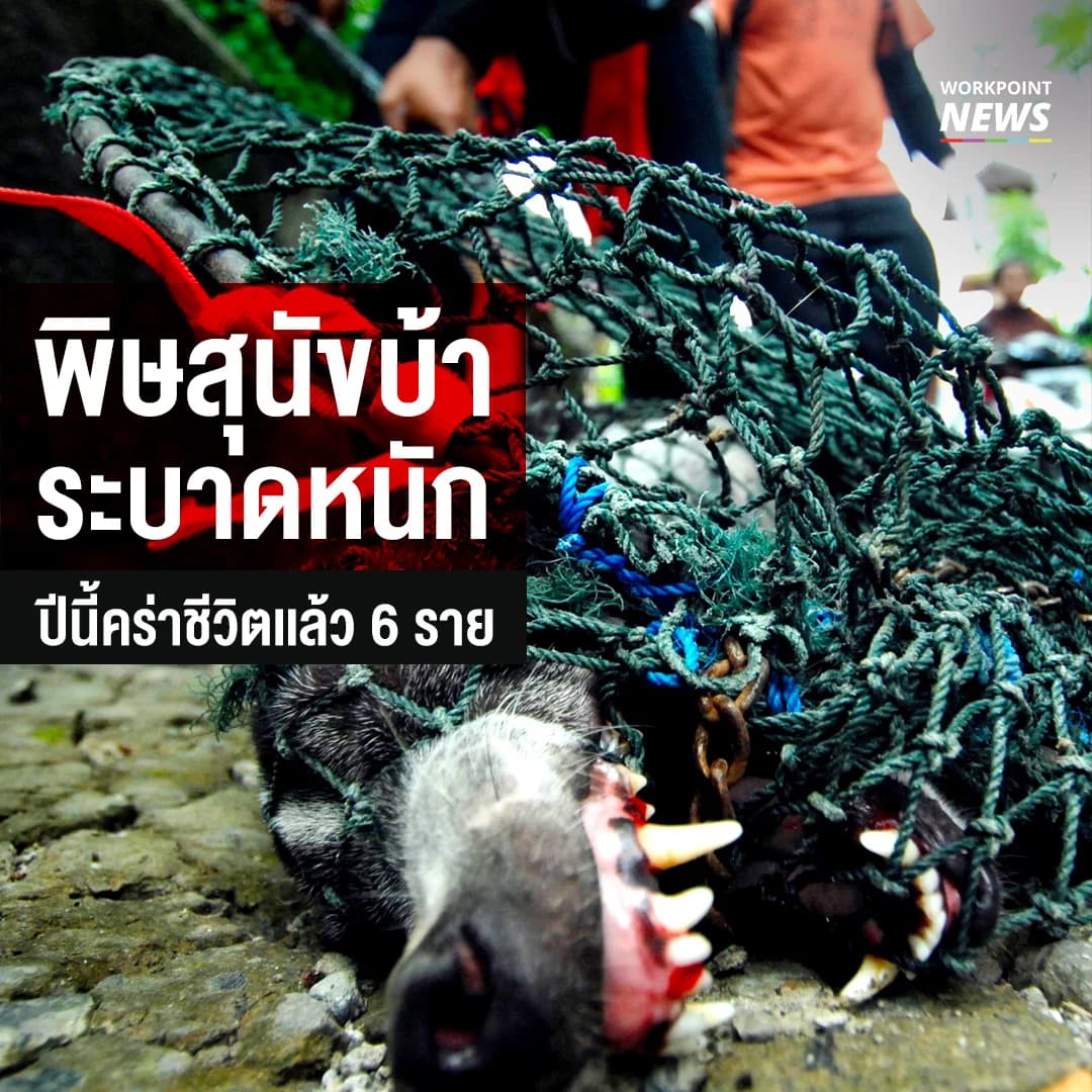 พิษสุนัขบ้าระบาดหนัก ปีนี้คร่าชีวิตเเล้ว 6 ราย