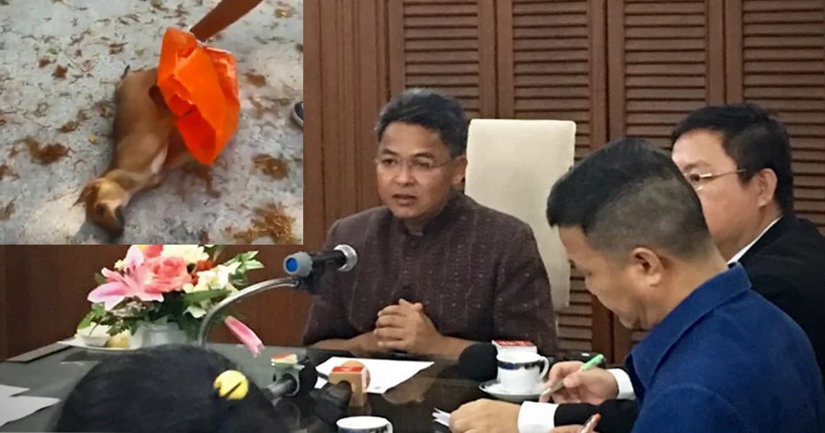 กรมปศุสัตว์แจงไม่ Set Zero สุนัขจรจัด