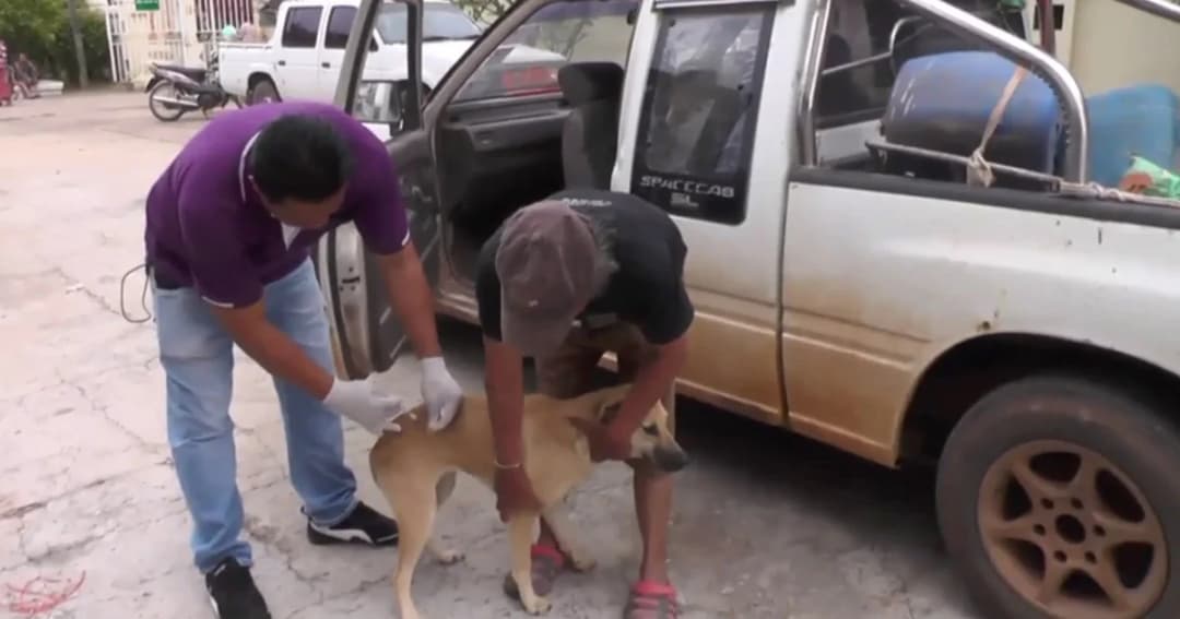 “ชัยภูมิ” พบเชื้อพิษสุนัขบ้าเพิ่ม 1 อำเภอ เร่งปูพรมฉีดวัคซีนรัศมีกว่า 5 กม.