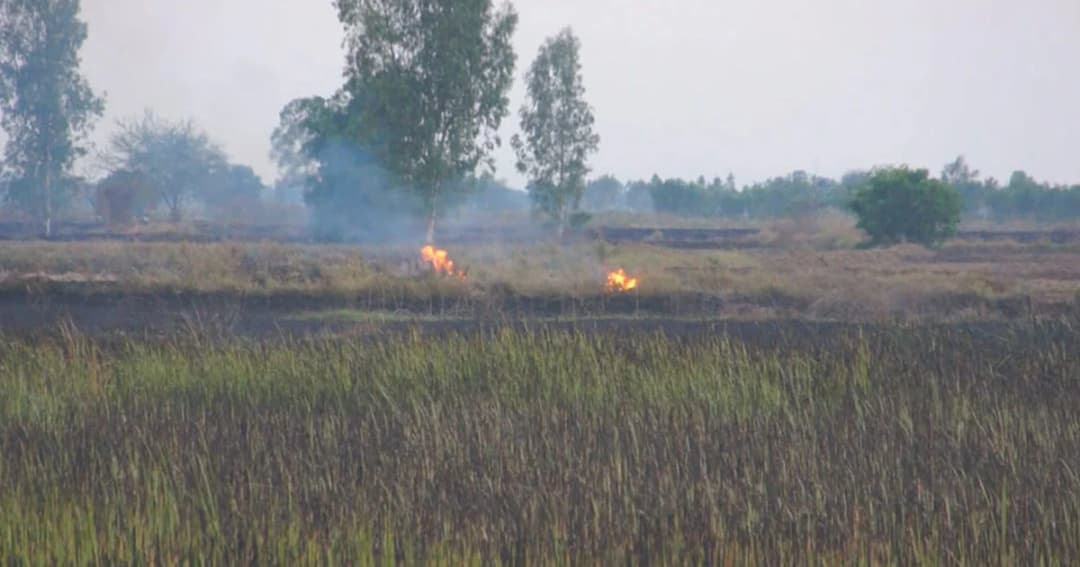 ไฟไหม้หญ้าแห้งลามเสียหายหลายไร่ เตือนหยุดทิ้งก้นบุหรี่-จุดเผาป่า