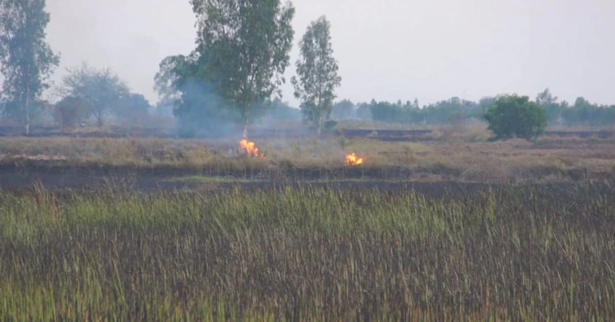 ไฟไหม้หญ้าแห้งลามเสียหายหลายไร่ เตือนหยุดทิ้งก้นบุหรี่-จุดเผาป่า