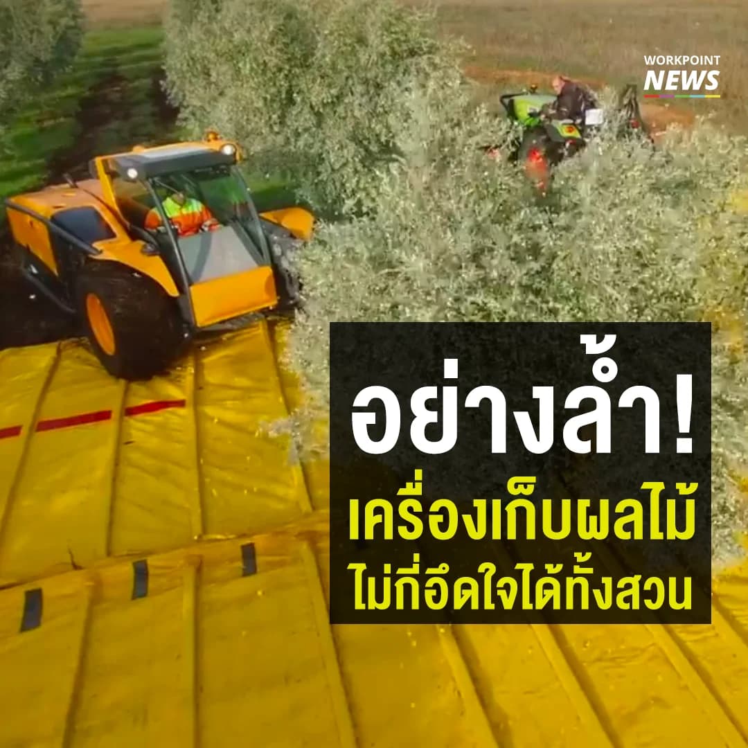 อย่างล้ำ! เครื่องเก็บผลไม้ไม่กี่อึดใจได้ทั้งสวน