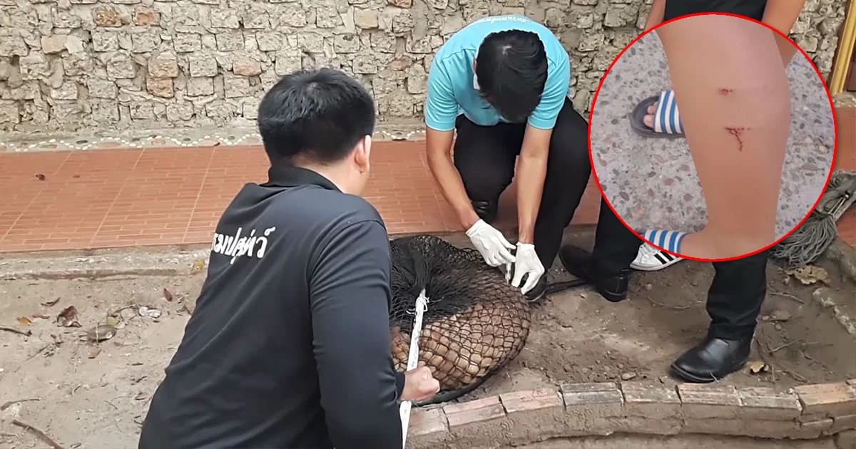 มุกดาหาร เร่งฉีดวัคซีน ! หลังเด็กโดนหมาบ้ากัด 3 ราย