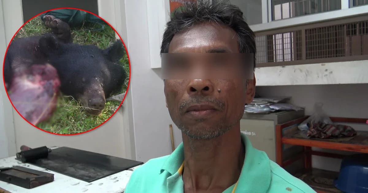 โผล่มอบตัว ! ผู้ต้องหาร่วมล่า ‘หมีควายกุยบุรี’ ก่อนนำฝากขัง