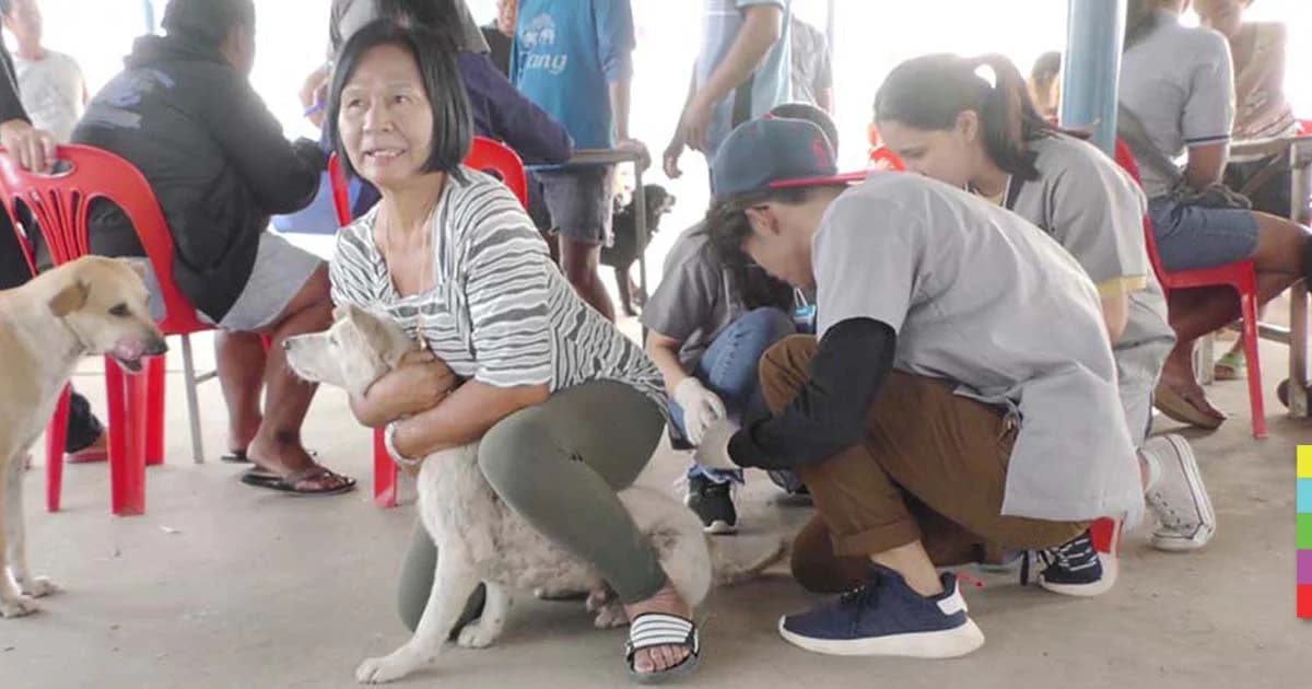 นศ.สัตวแพทย์ จุฬาฯ ลงฉีดวัคซีนสุนัขบ้า ตั้งเป้า 2 พันตัว