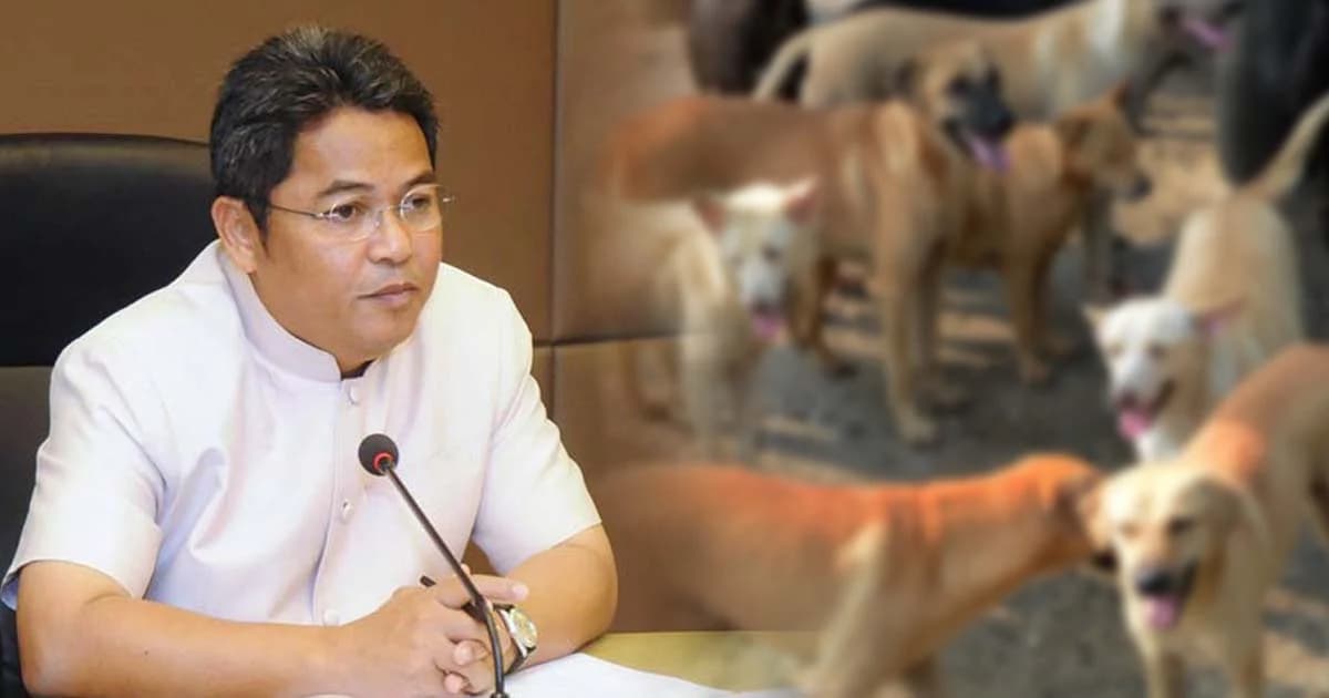 รมว.เกษตรฯ ยังไม่ย้าย ‘อธิบดีปศุสัตว์’ สั่งสอบจัดซื้อวัคซีนกันพิษหมาบ้า