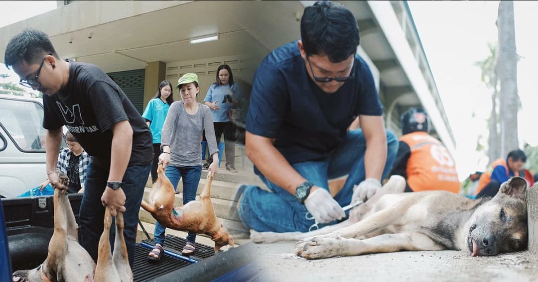 ไม่เซตซีโร่ก็ทำได้ ! จิตอาสาจับหมา ทำหมัน-ฉีดวัคซีน ป้องกันพิษสุนัขบ้า