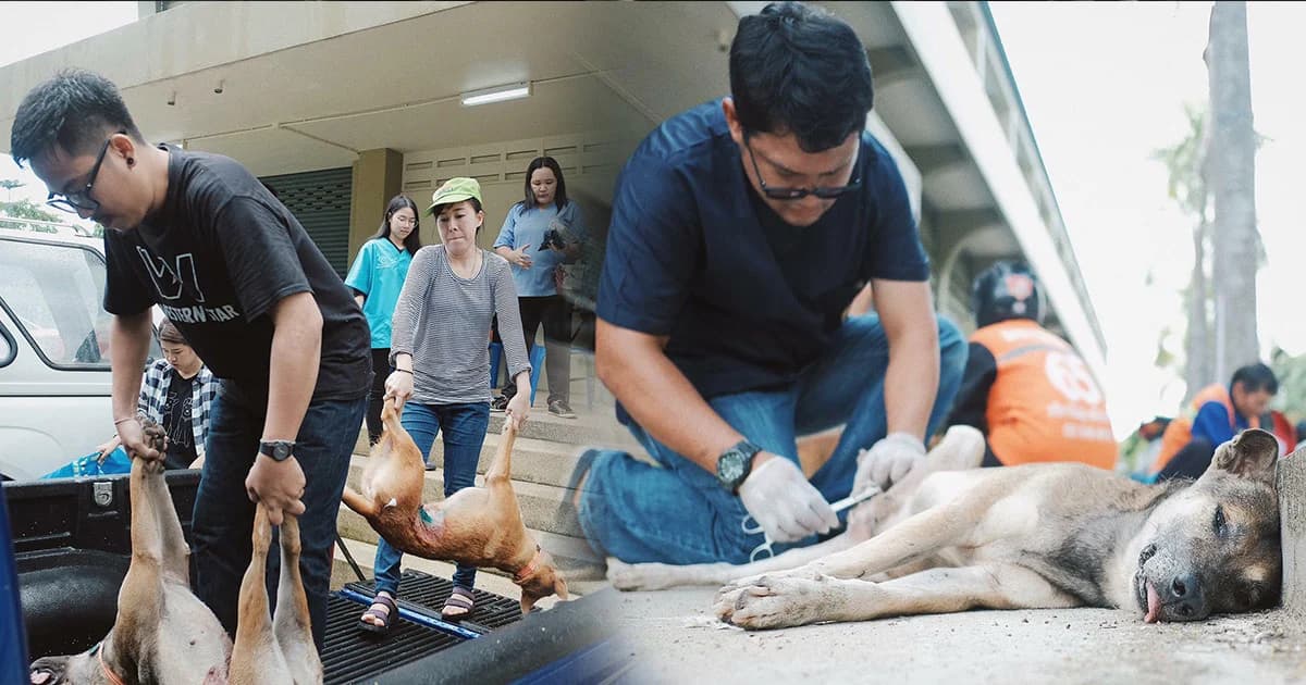 ไม่เซตซีโร่ก็ทำได้ ! จิตอาสาจับหมา ทำหมัน-ฉีดวัคซีน ป้องกันพิษสุนัขบ้า