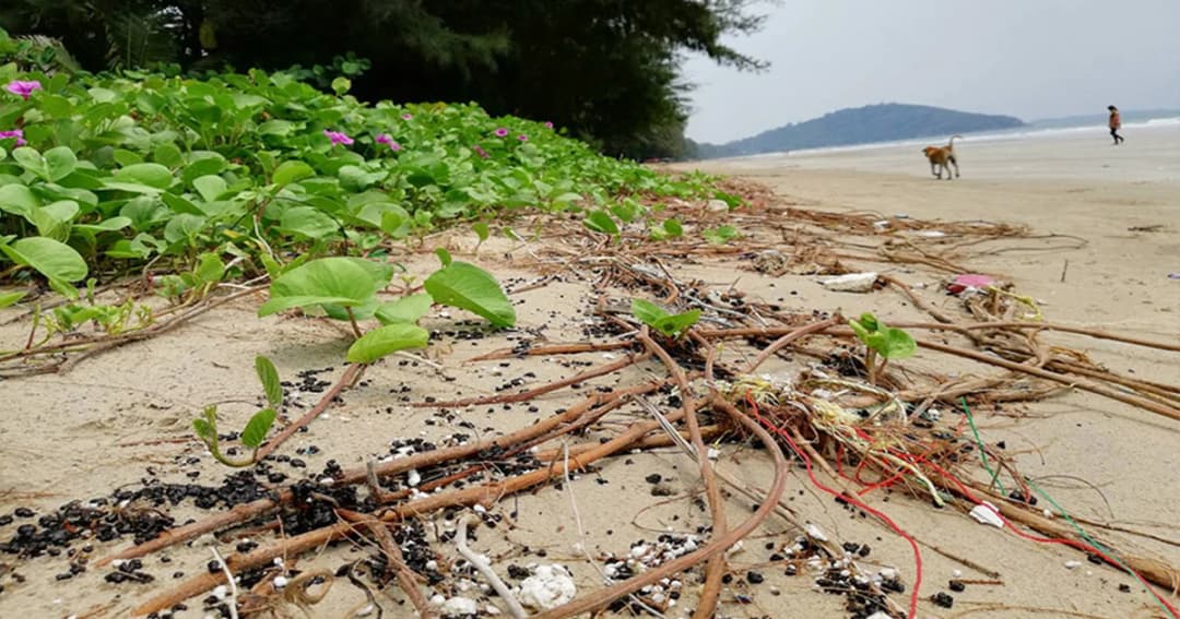 ซ้ำซาก ! คราบน้ำมันเกลื่อนหาดแม่รำพึง คาดเรือประมงลอบปล่อยลงทะเล