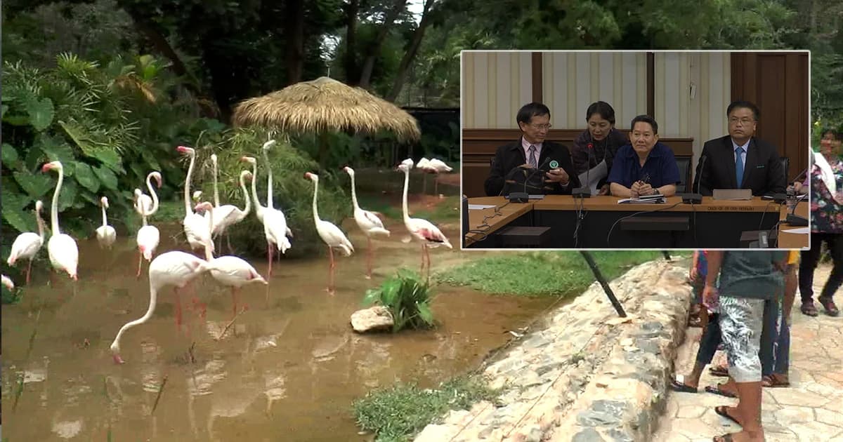 กรมปศุสัตว์ ยืนยันไม่พบโรคไข้หวัดนกในไทย