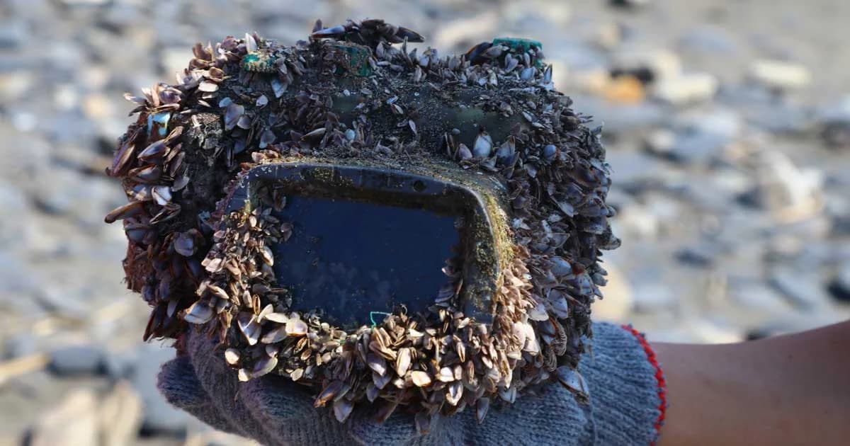 พบกล้องถ่ายรูปจมอยู่ใต้ทะเล 2 ปี ยังใช้ได้ พร้อมส่งคืนเจ้าของ