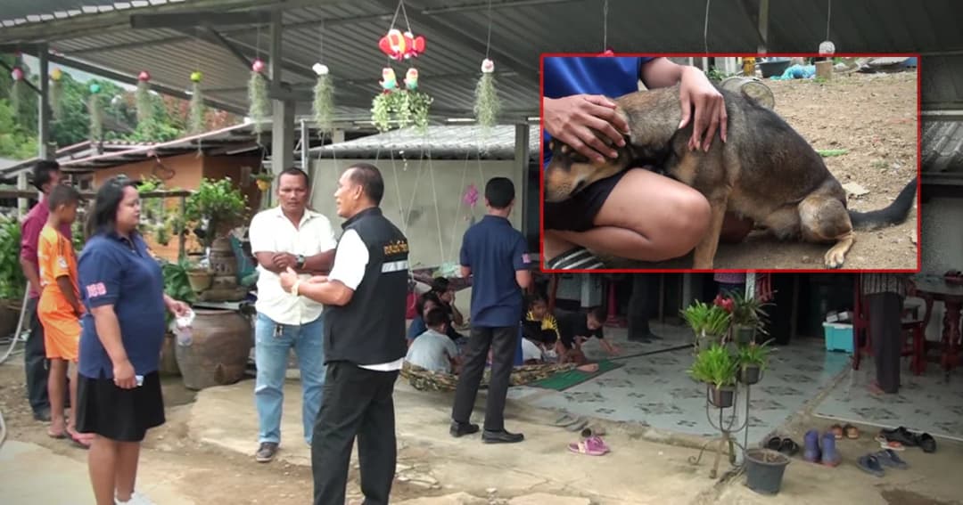 จันทบุรีร้อนจัด สุนัขเครียดไล่กัดเด็ก 6 ราย