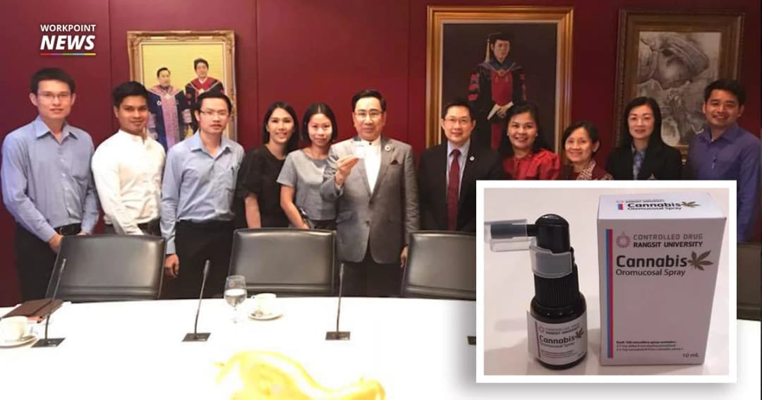 ม.รังสิต ผลิตยาพ่นกัญชา บรรเทาอาการเจ็บปวดฯ จากการคีโม ผู้ป่วยมะเร็ง ได้สำเร็จ