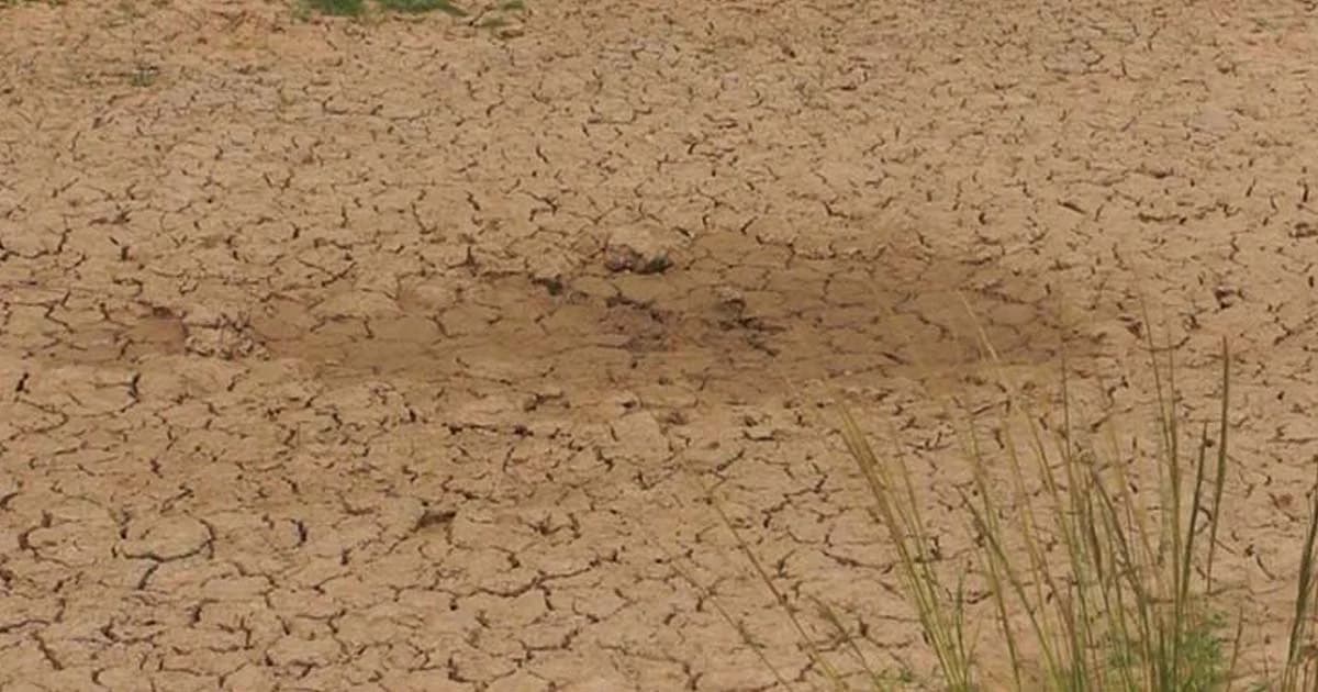 แล้งกระทบหนัก เกษตรกรโคราชดิ้นหาทางรอด