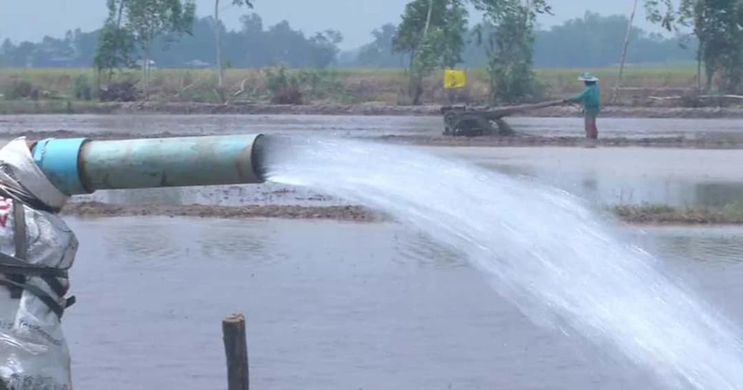 ชาวนาเสี่ยงสูบน้ำใต้ดิน ทำนาปรัง ไม่สนแล้ง