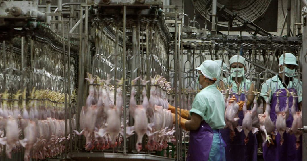 ดัชนีเชื่อมั่นทางธุรกิจ มี.ค. 61 อยู่ที่ 53.3 สูงสุดในรอบ 5 ปี บอกอะไรเรา?