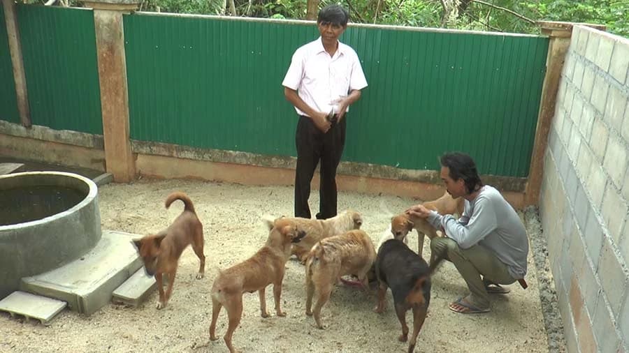 สงขลา ทุ่มงบสร้างที่พักพิง ‘สุนัขจรจัด’ ควบคุมโรคระบาด